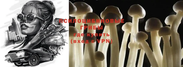 прущие крисы Гвардейск