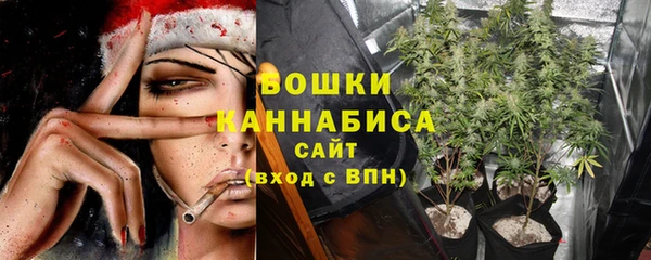 не бодяженный Осташков