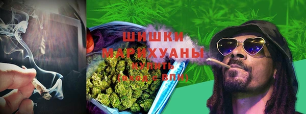 дживик Пестово