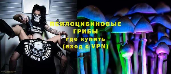 не бодяженный Осташков