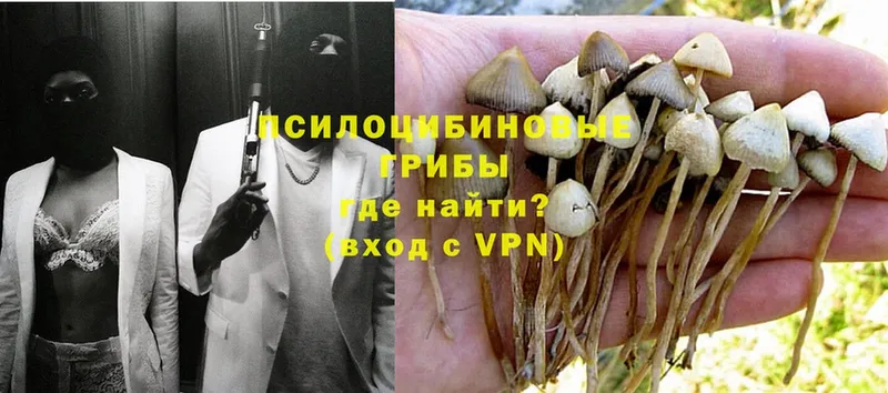 сайты даркнета наркотические препараты  Сафоново  Галлюциногенные грибы MAGIC MUSHROOMS 