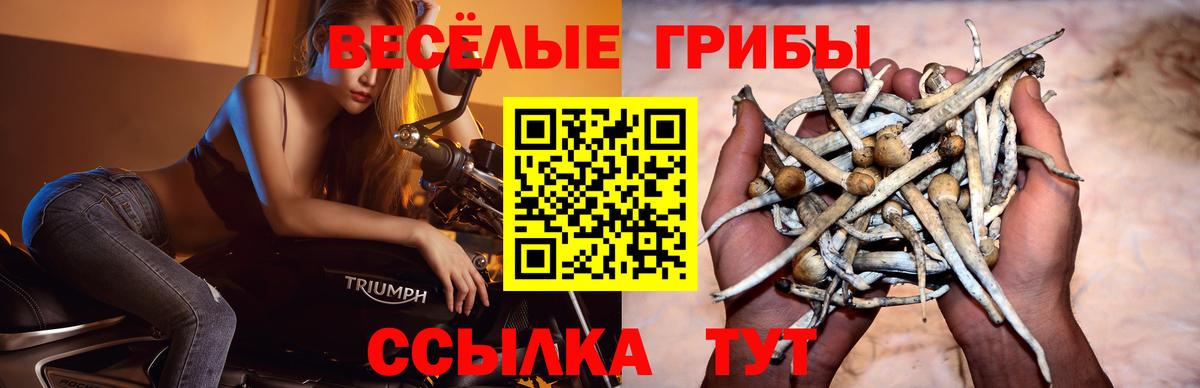наркота  Вход с VPN  Сафоново  Галлюциногенные грибы мицелий 